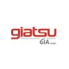 PLACA ELECTRÓNICA UNIDAD EXTERIOR GIATSU GIA-S12AR-O